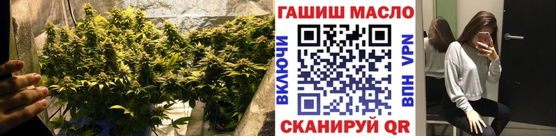 ТГК Wax Купить где Весьегонск